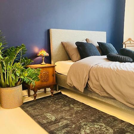 Bnb Suikernest Antwerpia Zewnętrze zdjęcie
